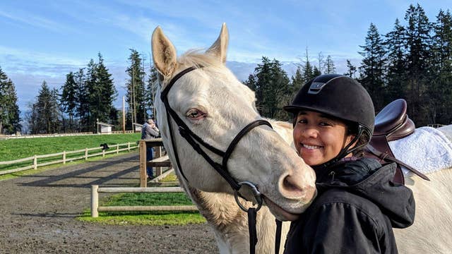 Horse shot, killed in Pierce County, deputies investigating