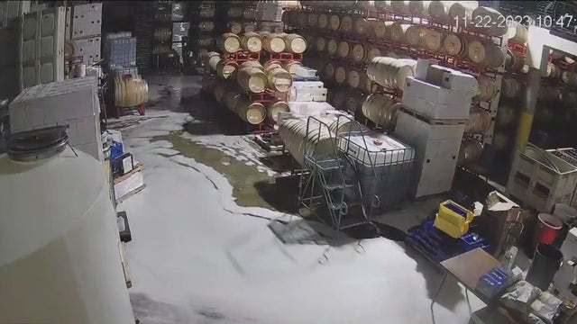 'A tough blow': Vandal in cowboy hat spills $600,000 worth of of vintage wine at Woodinville winery