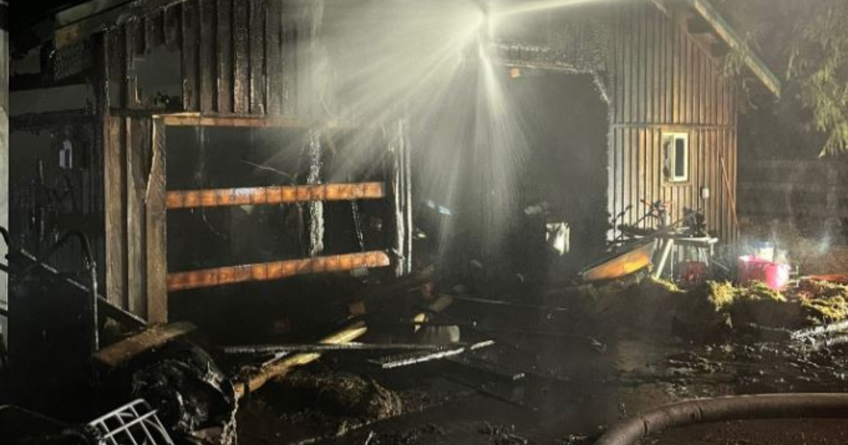 Multiple pets die in two separate house fires in Pierce County | FOX 13 ...