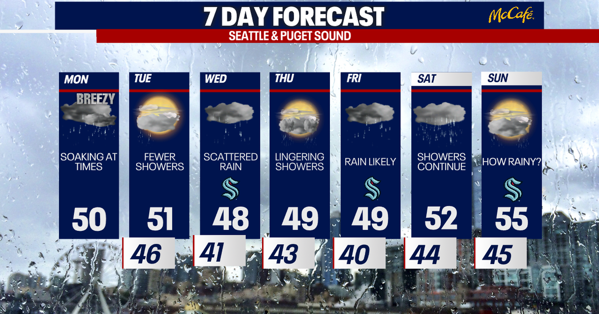 Seattle weather: Damp and cloudy week ahead | FOX 13 Seattle