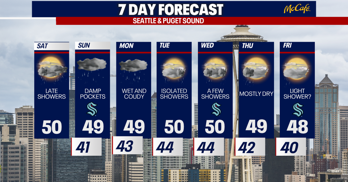 Seattle weather: Milder week of weather ahead | FOX 13 Seattle