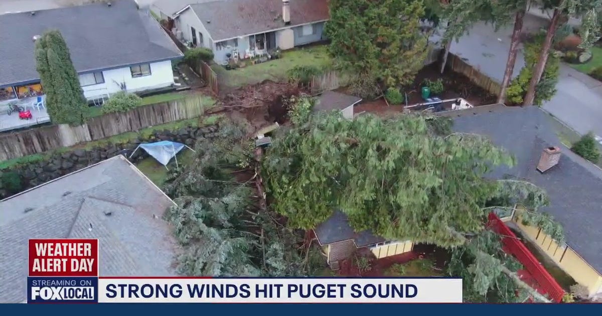 Washington power outages: Tens of thousands lose power as storm moves ...
