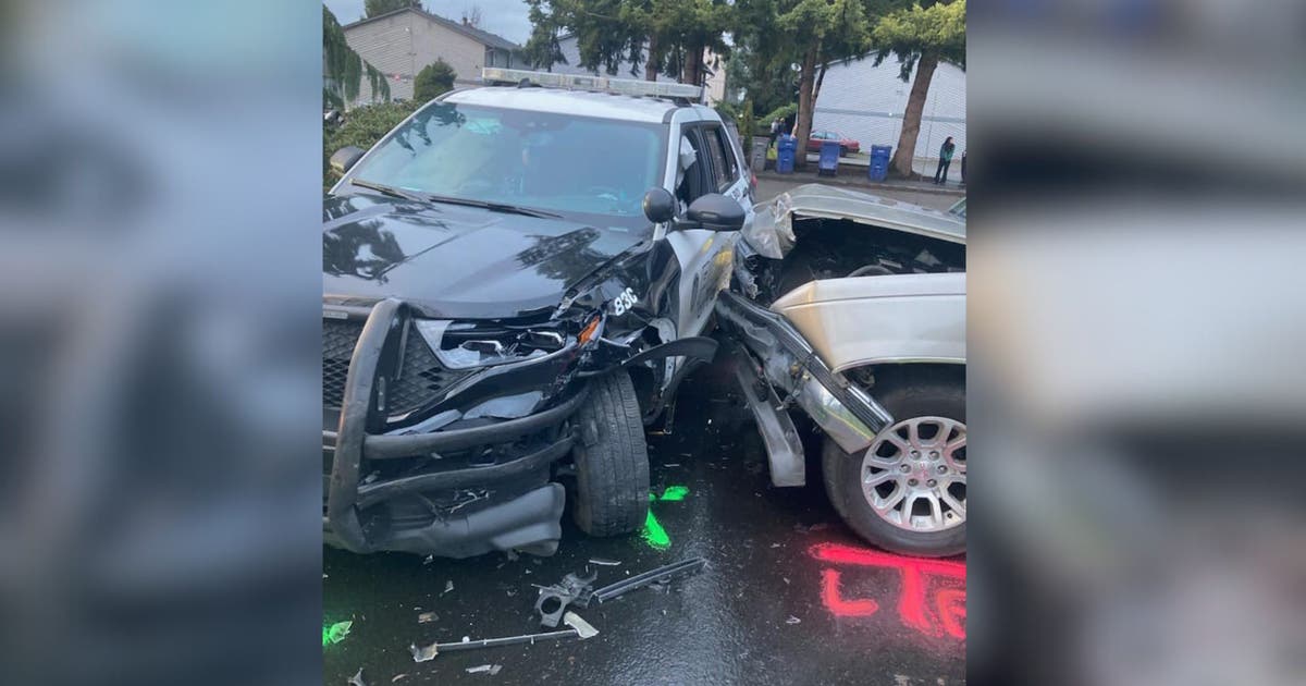 Prolific burglary suspect arrested after crashing into patrol car | FOX ...