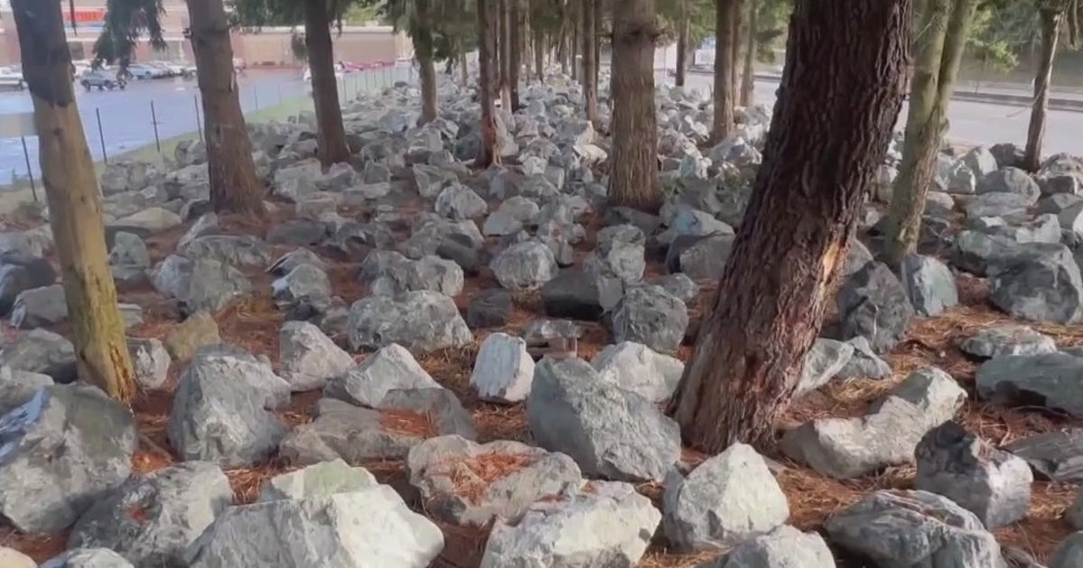 Between a rock and a hard place: WSDOT’s controversial approach to ...