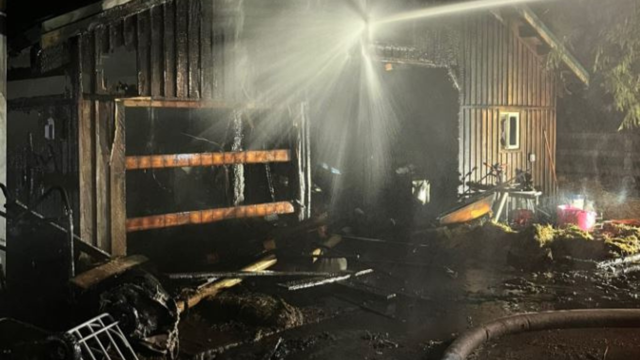 fires in pierce - Vimarsana News