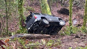 Driver self-extricates after car falls down embankment at Dash Point State Park