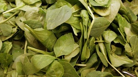 Possible listeria contamination prompts BrightFarms spinach, salad kit recall