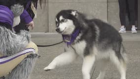 Huskies get special send-off as they head to Houston for National Championship Game