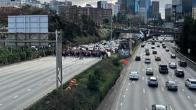 PHOTOS: Protesters block lanes on I-5 in Seattle, calling for ceasefire in Gaza
