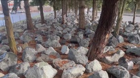 Between a rock and a hard place: WSDOT's controversial approach to homelessness