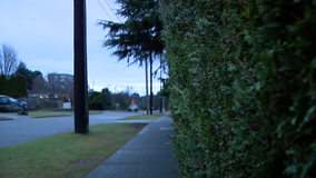 ‘I was just concentrating on the gun’: West Seattle carjacking victim speaks out after holdup
