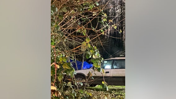 Deputies arrest child molestation suspect near 'The Jungle' homeless encampment in Olympia