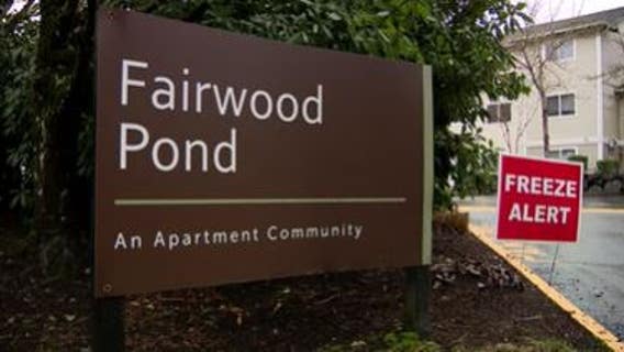 Man delivering packages shot, killed in Fairwood