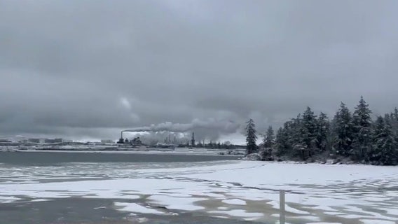 Sheet of ice canvases Puget Sound shoreline