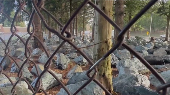 Controversial anti-homeless rocks spark outrage and legislative action in Washington