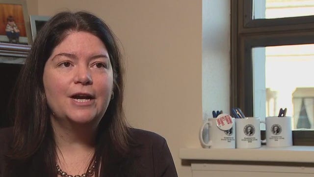 Rep. Liz Berry's main purpose is to pass gun laws during her fourth year in the legislature