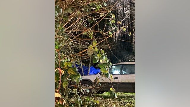 Deputies arrest child molestation suspect near 'The Jungle' homeless encampment in Olympia