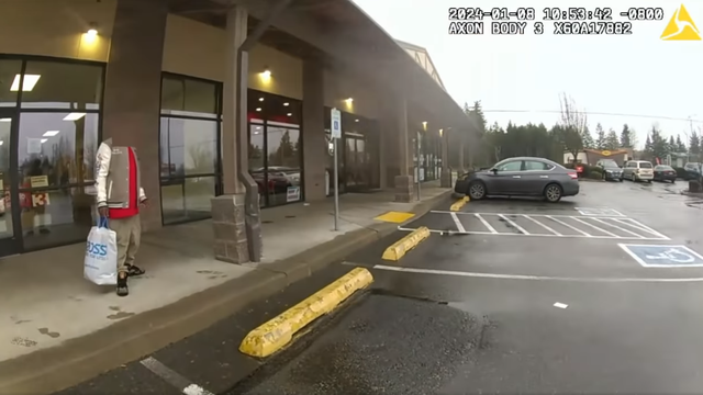 Theft suspect arrested in South Hill after chase with deputies