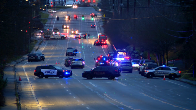 Police: Suspect arrested after hours-long standoff, shooting at officers in Everett