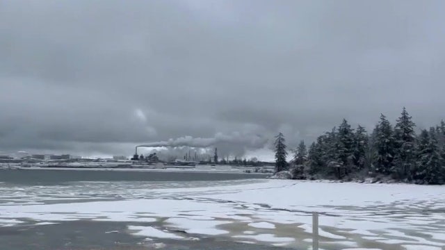 Sheet of ice canvases Puget Sound shoreline
