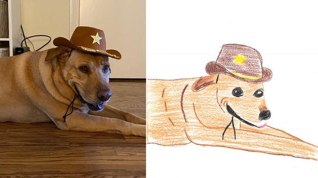 Tacoma humane society bringing back popular 'Poorly Drawn Pets' fundraiser