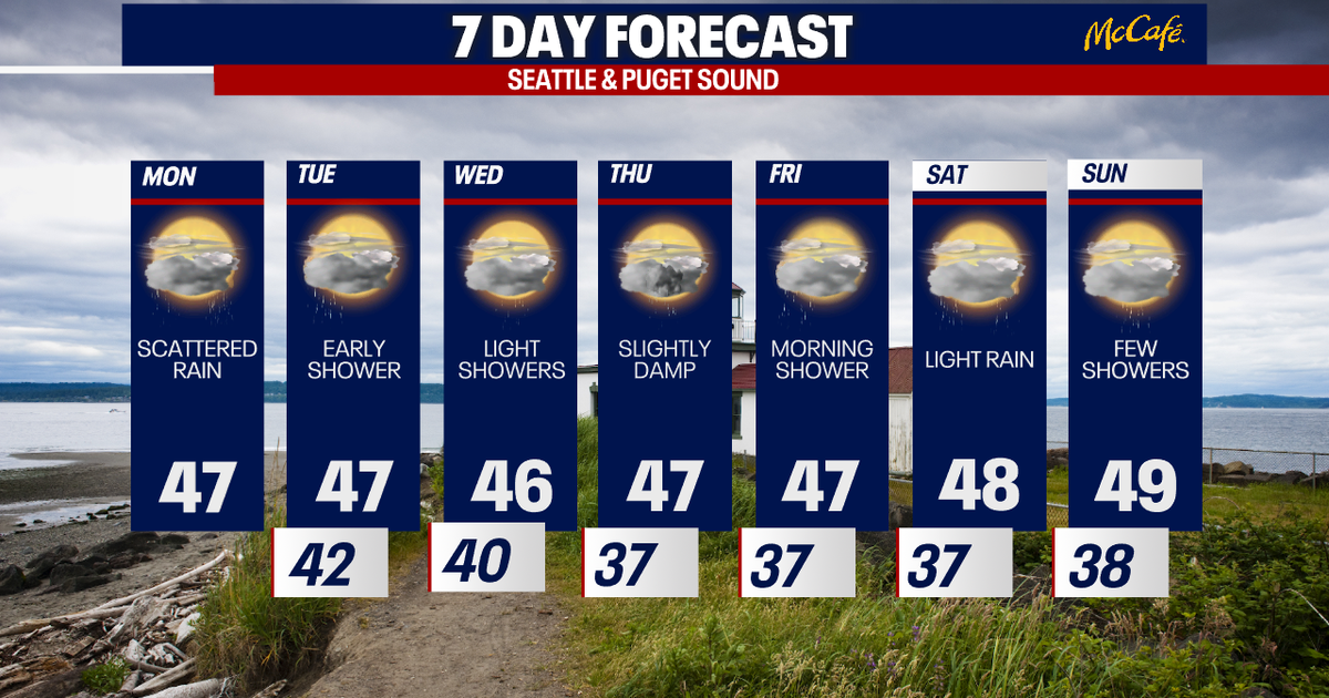 Slightly damp and unsettled pattern in Seattle | FOX 13 Seattle