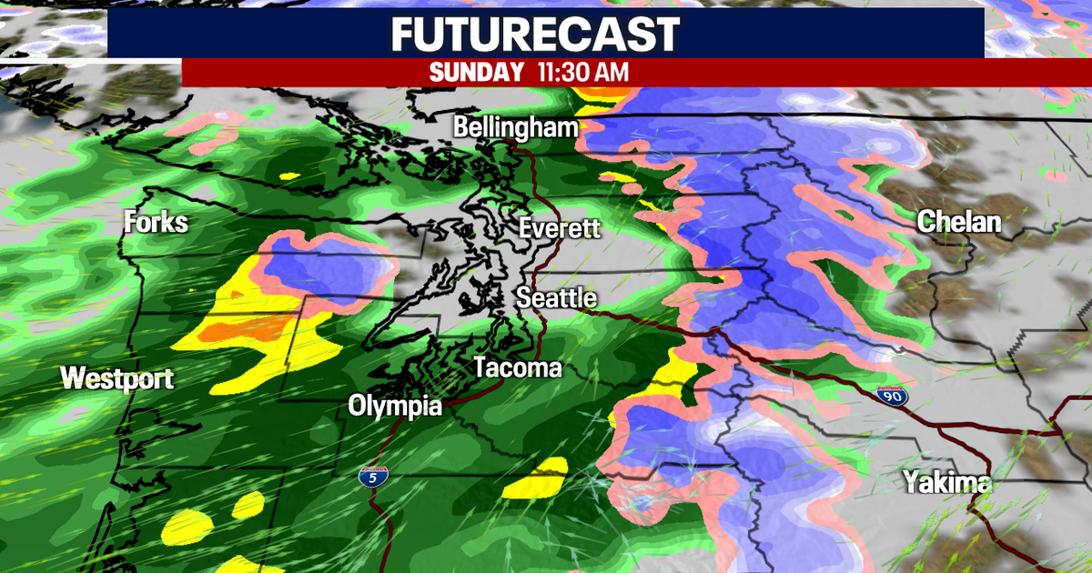 Seattle weather: Gusty and rainy with mountain snow | FOX 13 Seattle