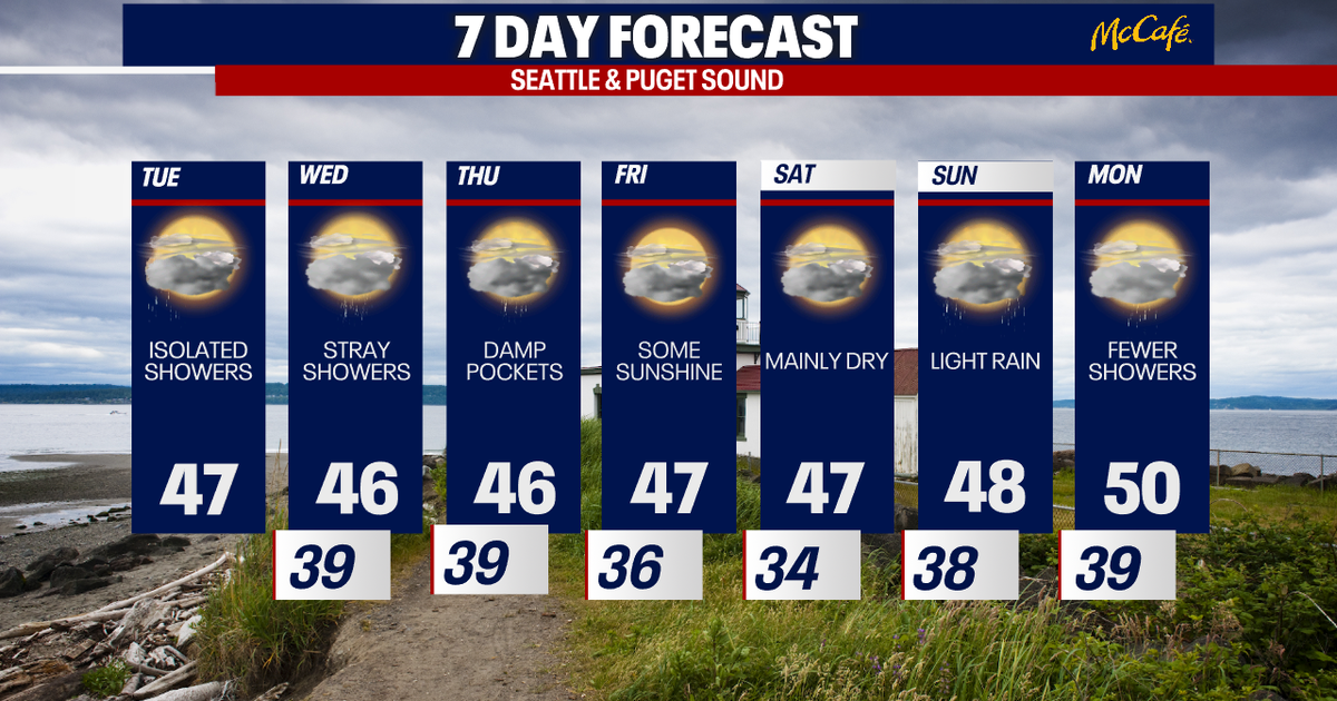 Seattle weather: Cool temperatures with daily showers ahead | FOX 13 ...