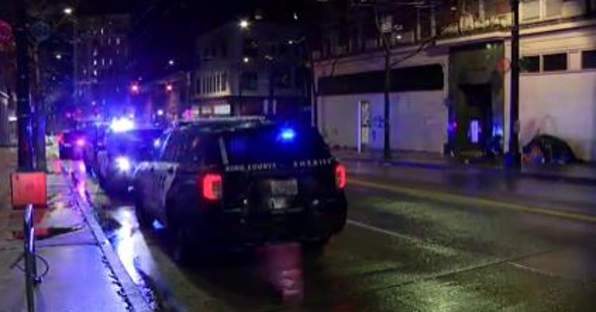 Man shot and killed on light rail train in downtown Seattle | FOX 13 ...