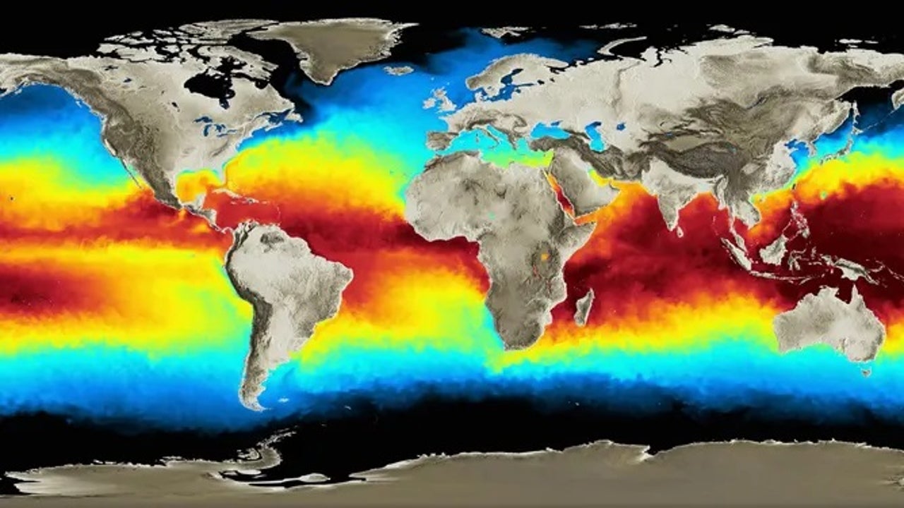 The Daily Record on X: Breast-size map of the world revealed