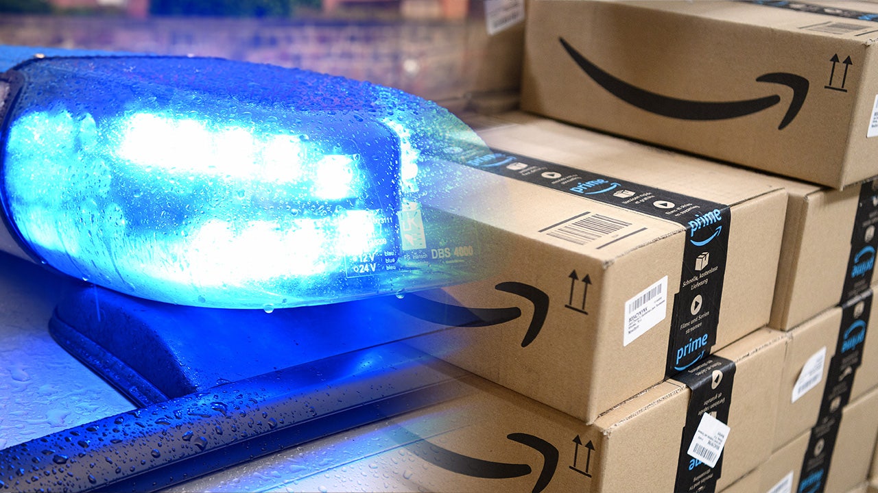 Florida couple kidnaps Washington baby, posing as Amazon driver: Court docs - Vimarsana News