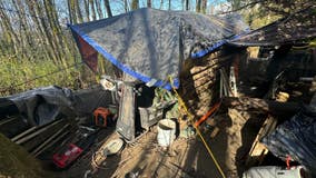 Concern grows as homeless man who dug up Seattle park with excavator now has cabin built