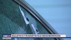 'Bullet holes in every house': Marysville police still searching for suspects in overnight shooting