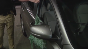 Bellevue Police Department launches new task force to curb rising auto theft trend