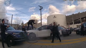 NEW VIDEO: Seattle police pursuit of drive-by shooting suspect ends in arrest