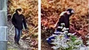 Olympia home invaders stole guns, assaulted victim, police say