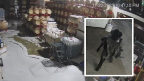 Woodinville wine vandal arrested; accused of spilling $600K worth of wine, was former employee