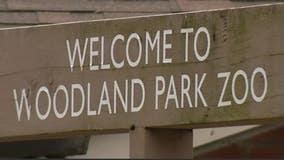 Woodland Park Zoo announces ZooTunes concert lineup