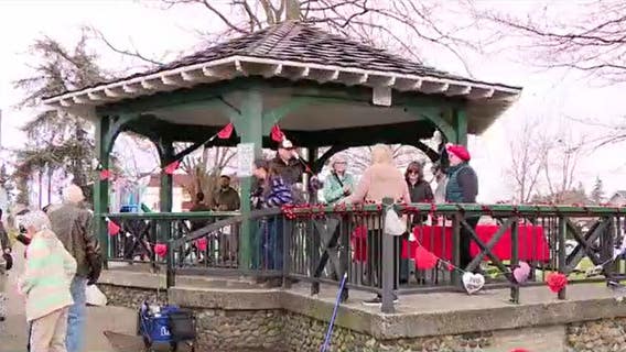 Paws and Preservation: The Everett Gazebo compromise