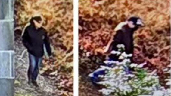 Olympia home invaders stole guns, assaulted victim, police say