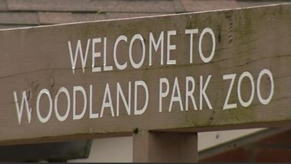 Woodland Park Zoo announces ZooTunes concert lineup