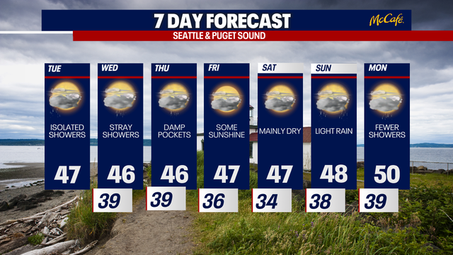 Seattle weather: Cool temperatures with daily showers ahead