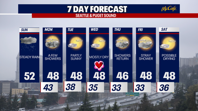Seattle weather: Damp and dreary Sunday, brighter workweek ahead