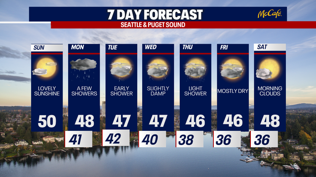 Glistening February sunshine in Seattle