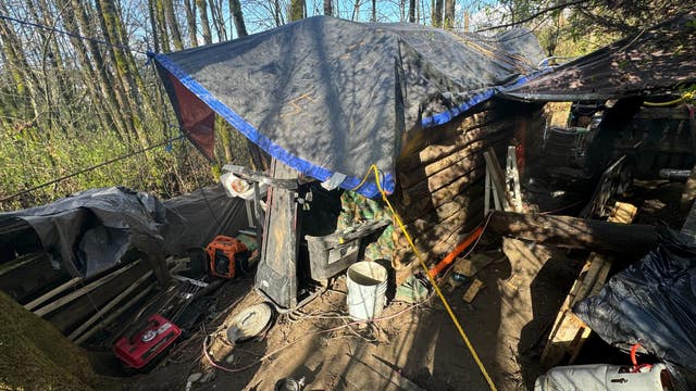 Concern grows as homeless man who dug up Seattle park with excavator now has cabin built