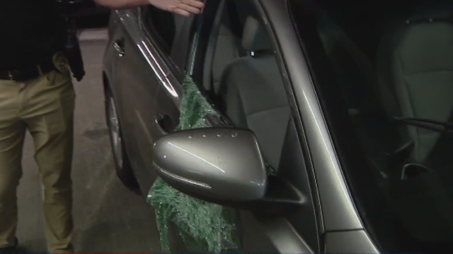 Bellevue Police Department launches new task force to curb rising auto theft trend