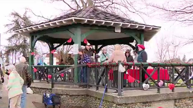 Paws and Preservation: The Everett Gazebo compromise