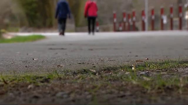 Woman stabbed in Point Defiance Park; suspect sought by police