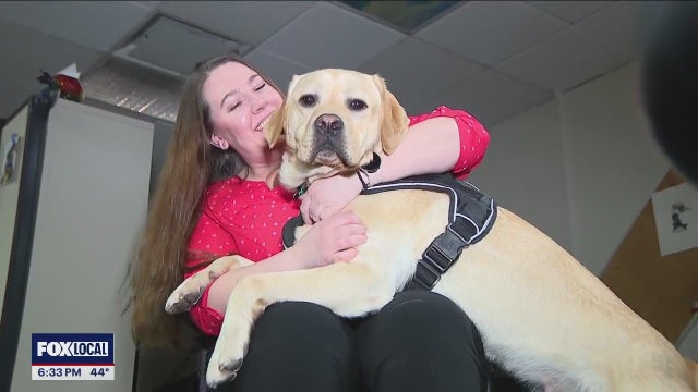 K9 provides comfort to Pierce County Sheriff's Department as part of wellness program