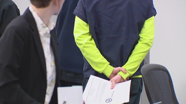 13-year-old, 15-year-old facing multiple charges for allegedly hitting pedestrians on purpose